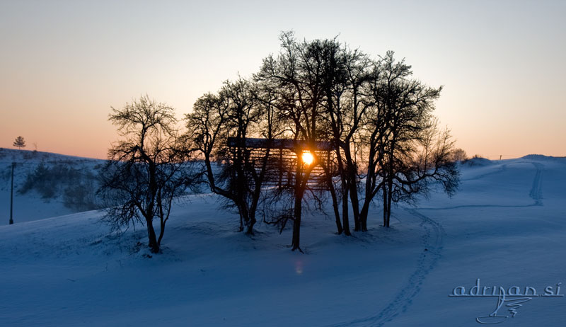 Sunset